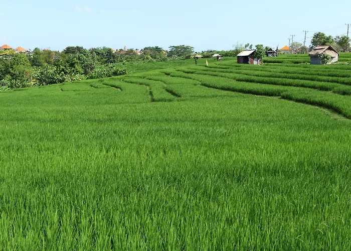 Tamu Seseh * Canggu (Bali)
