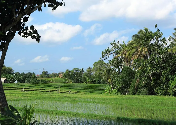 Villa Tamu Seseh *