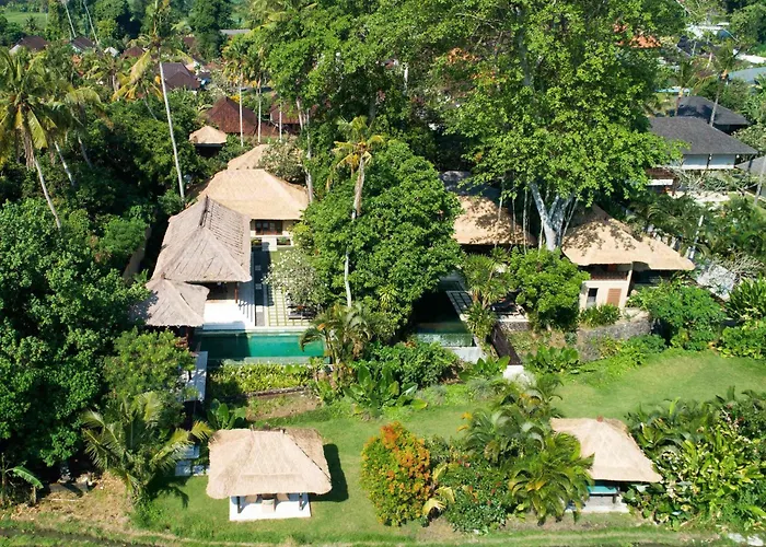 Tamu Seseh *