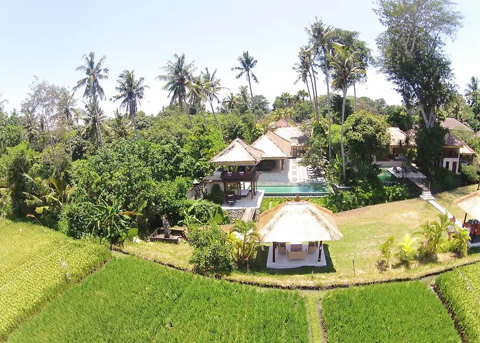 Tamu Seseh * Canggu