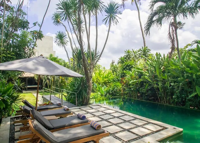 Tamu Seseh Canggu (Bali)